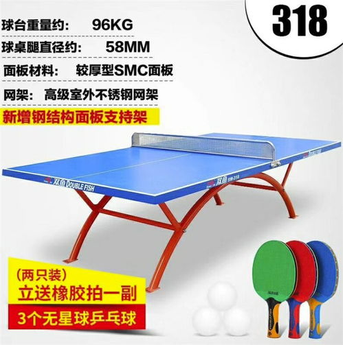 學(xué)校用乒乓球桌批發(fā)商 廣州乒乓球桌 強(qiáng)利體育器材品質(zhì)保證