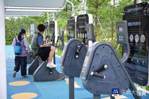 深圳的公園被演員彭于晏猛夸,網友 還得是 深圳特產