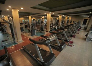 健身熱潮席卷全國 訓(xùn)練健身器材市場(chǎng)前景廣闊