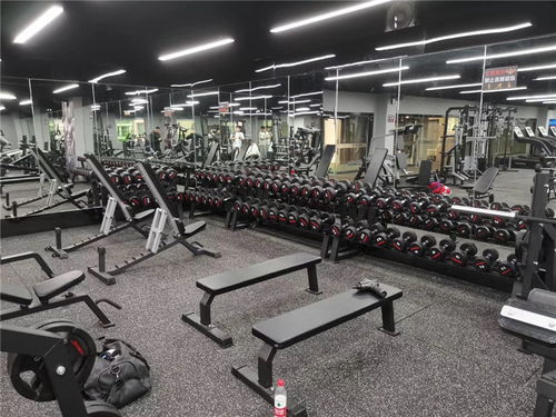 運動健身器材健身器材熱線電話